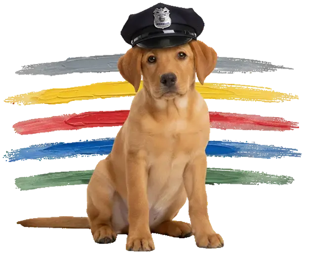 A red labrador puppy wearing a police officer's hat sits in front of colorful, horizontal paint streaks on a white background.