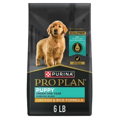 Best Puppy Food For Labradors - Top 3 Breeder Recommendations A bag of Purina Pro Plan Puppy food, Chicken & Rice Formula, for puppies under one year. The package features a red labrador puppy and text highlighting DHA for brain and vision development. The bag weighs 6 lb.