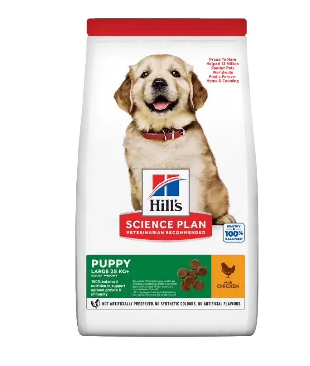 Best Puppy Food For Labradors - Top 3 Breeder Recommendations A bag of Hill’s Science Plan dry dog food for large breed puppies, featuring a happy red labrador puppy. The bag highlights chicken flavor and veterinarian recommendation, with additional product benefits shown.