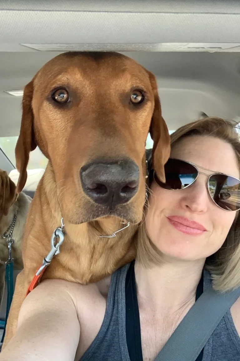 client photo of desireep. from cave creek Arizona