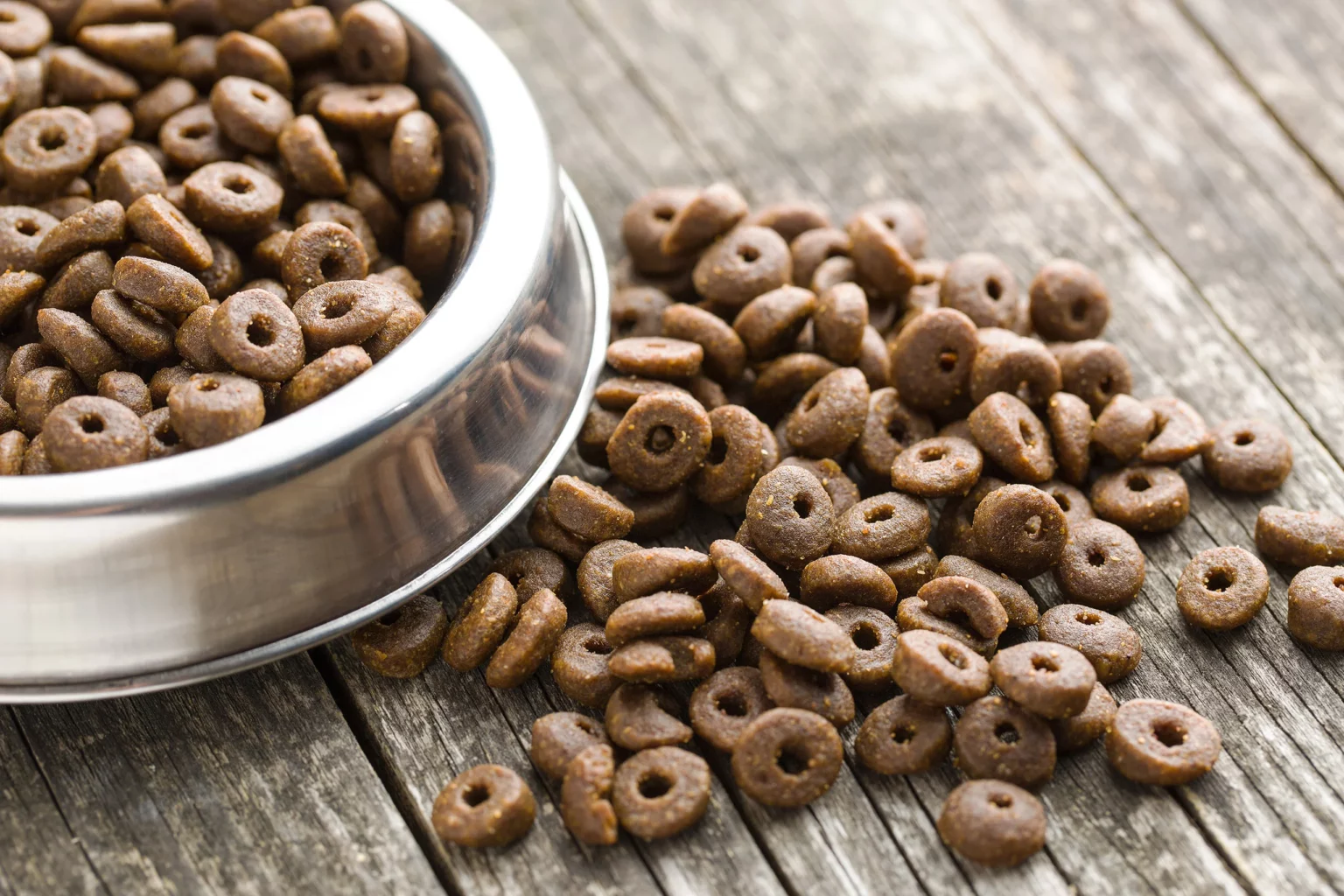 photo of puppy food spilling from a bowl on the floor